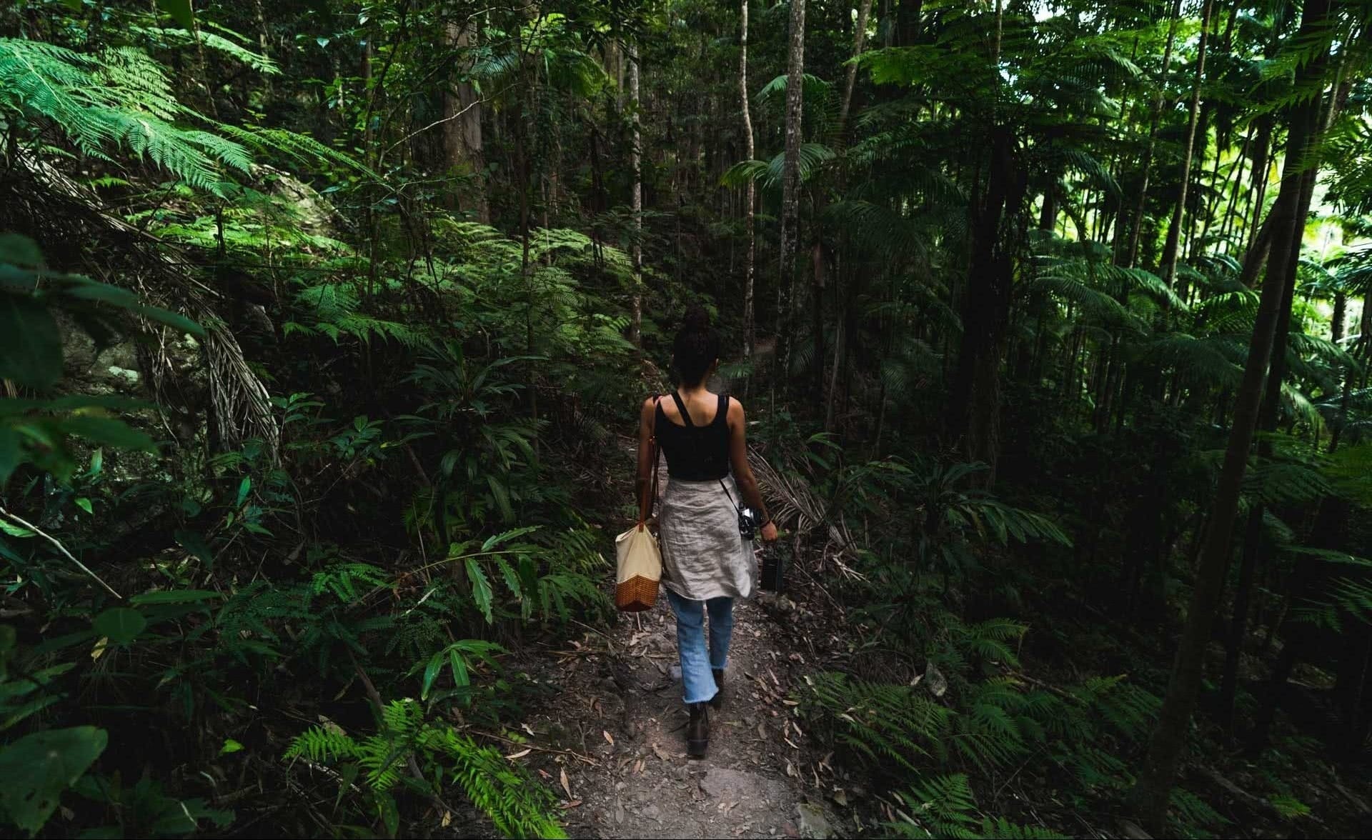 Breathe in the Fresh Air: Why Nicotine Pouches Are Perfect for Walks in Nature 🌿🚶‍♂️
