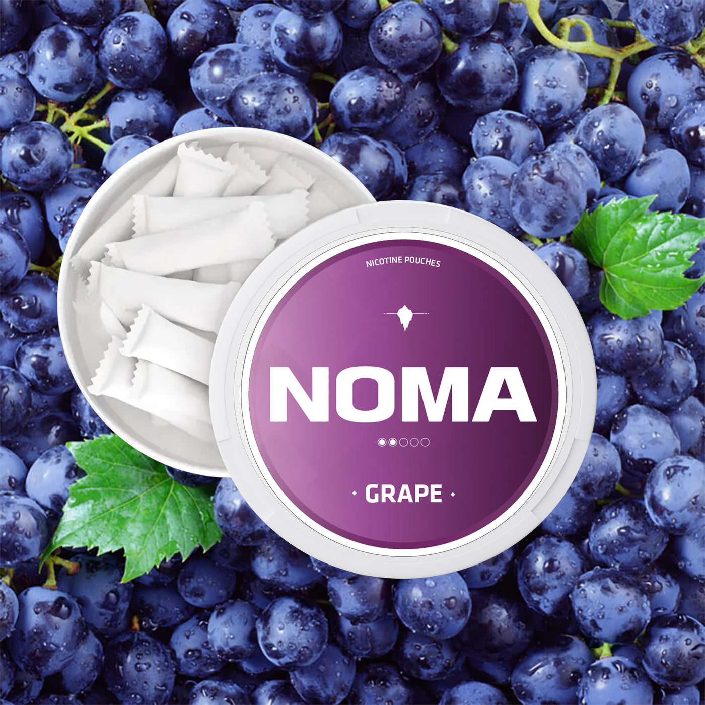 Noma Ice Cool Nicotine Pouches Malaysia Best selling nicotine pouch in Malaysia. est Nicotine pouches in Malaysia. Quit Smoking Malaysia. Quit vaping Malaysia. Malaysia Premium pouches. Ice cool. Flavourful pouch malaysia. Snus in Malaysia. Nicotine pouches Malaysia. 