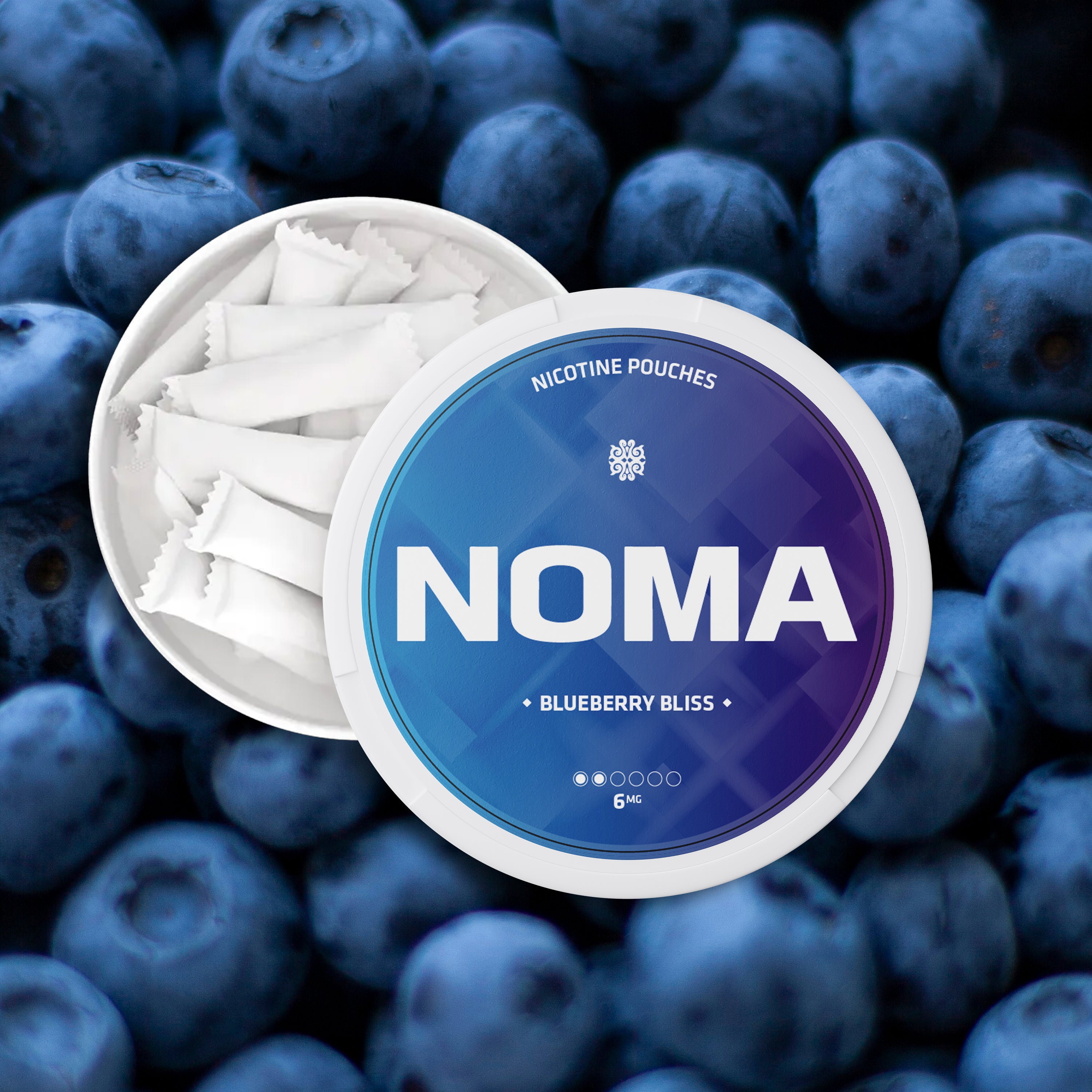 Blueberry Bliss